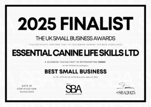 Best Small Business Finalist